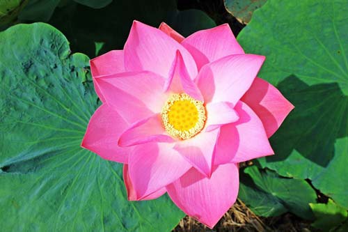 电子娱乐平台app下载