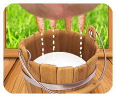 互博国际hooball下载