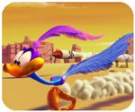 华体育app官方网站下载