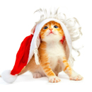 大众彩票入口welcome官网