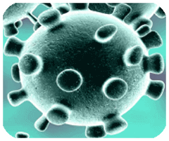永盈官方网站入口