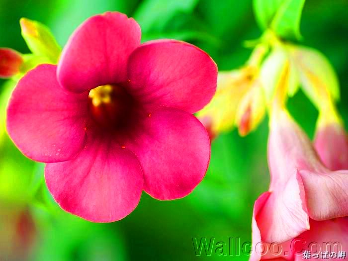 开yun体育登录网页入口