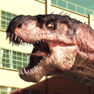 hth体育网站登录APP下载