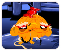 196体育官网最新版