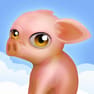 九游体育app官网