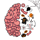 MG4355官网下载